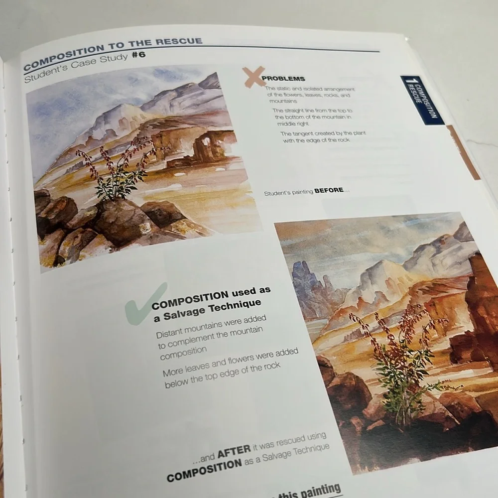 💕 Tom Lynch's Watercolor Rescue Vintage Hardcover Book - Picture 6 of 16